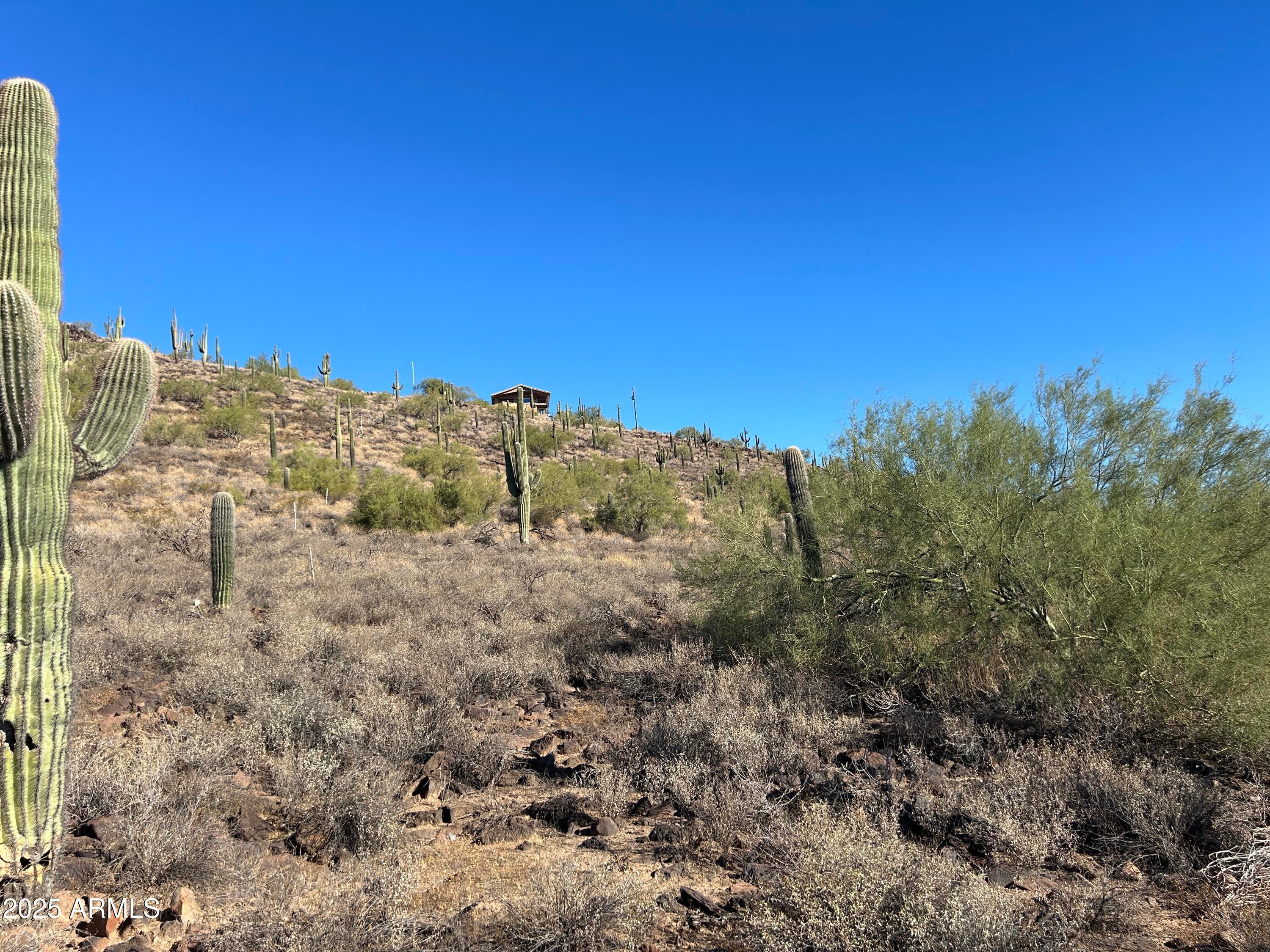 Photo of Listing #6844481