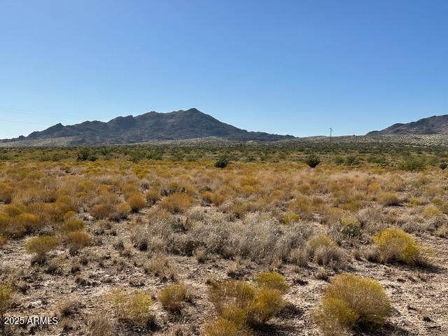 Photo of Listing #6801255