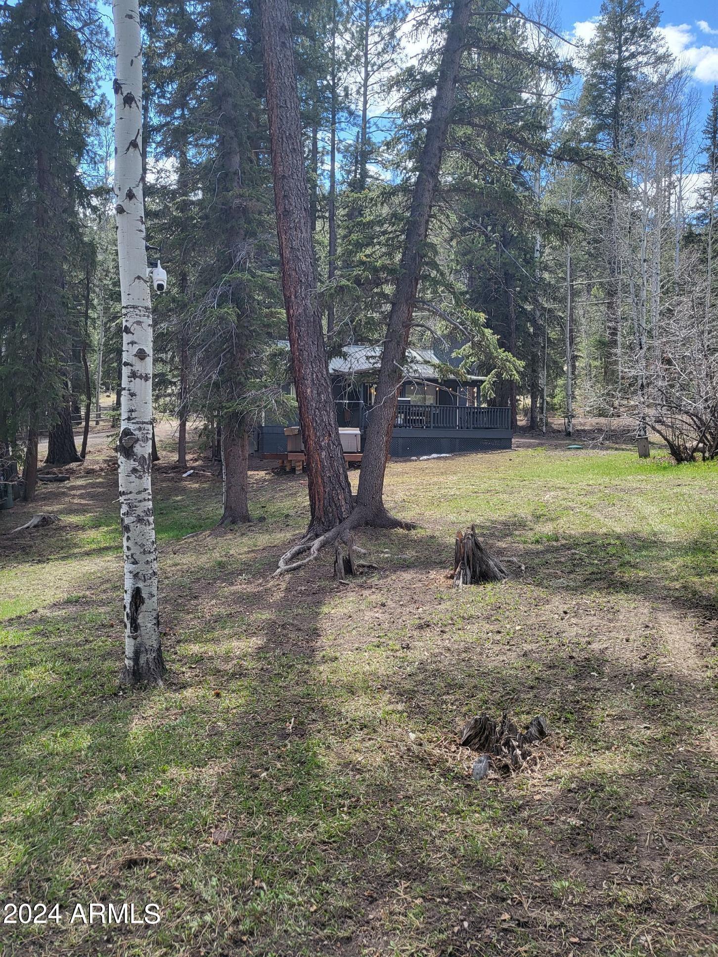 Photo of Listing #6806931