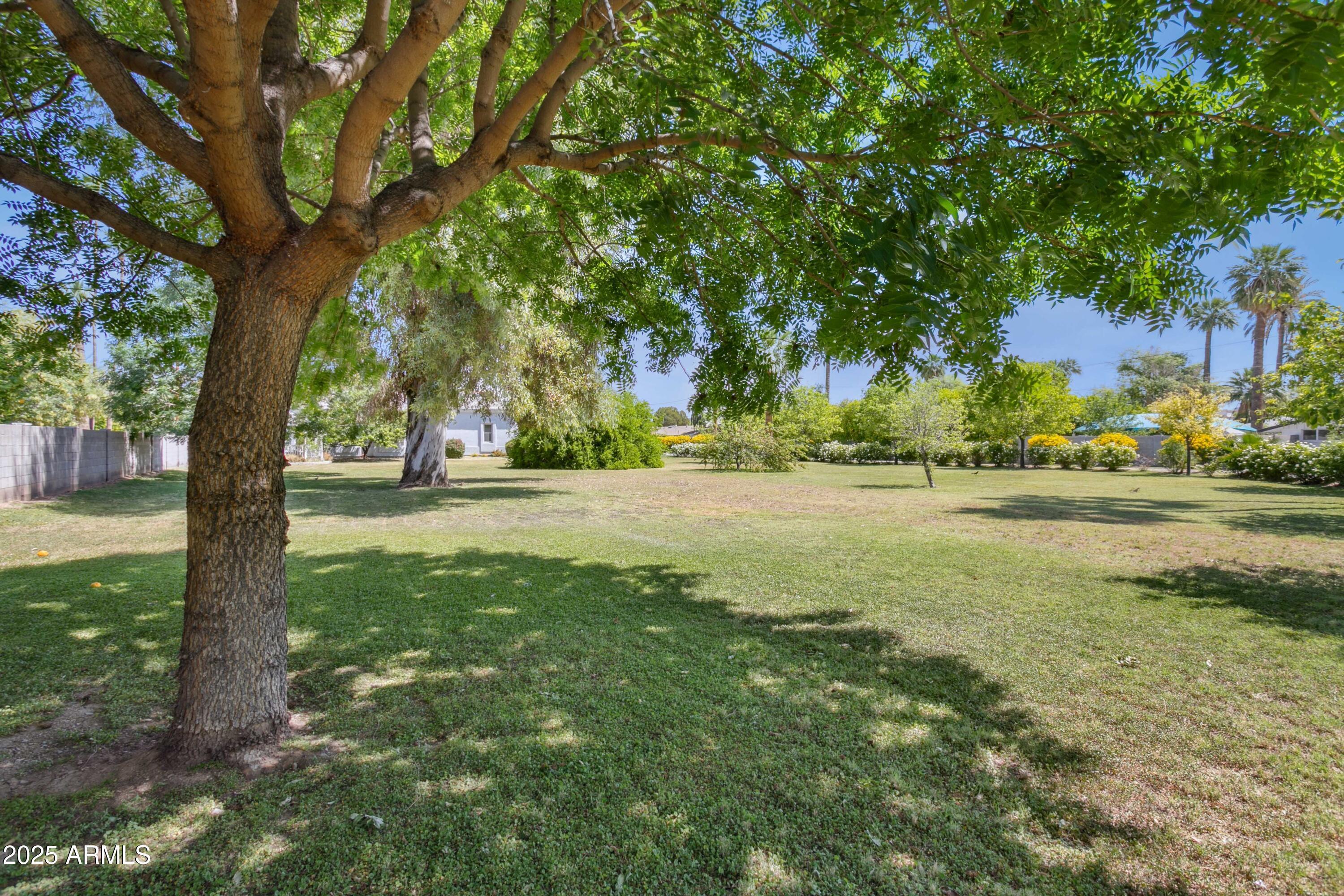 Photo of Listing #6873007