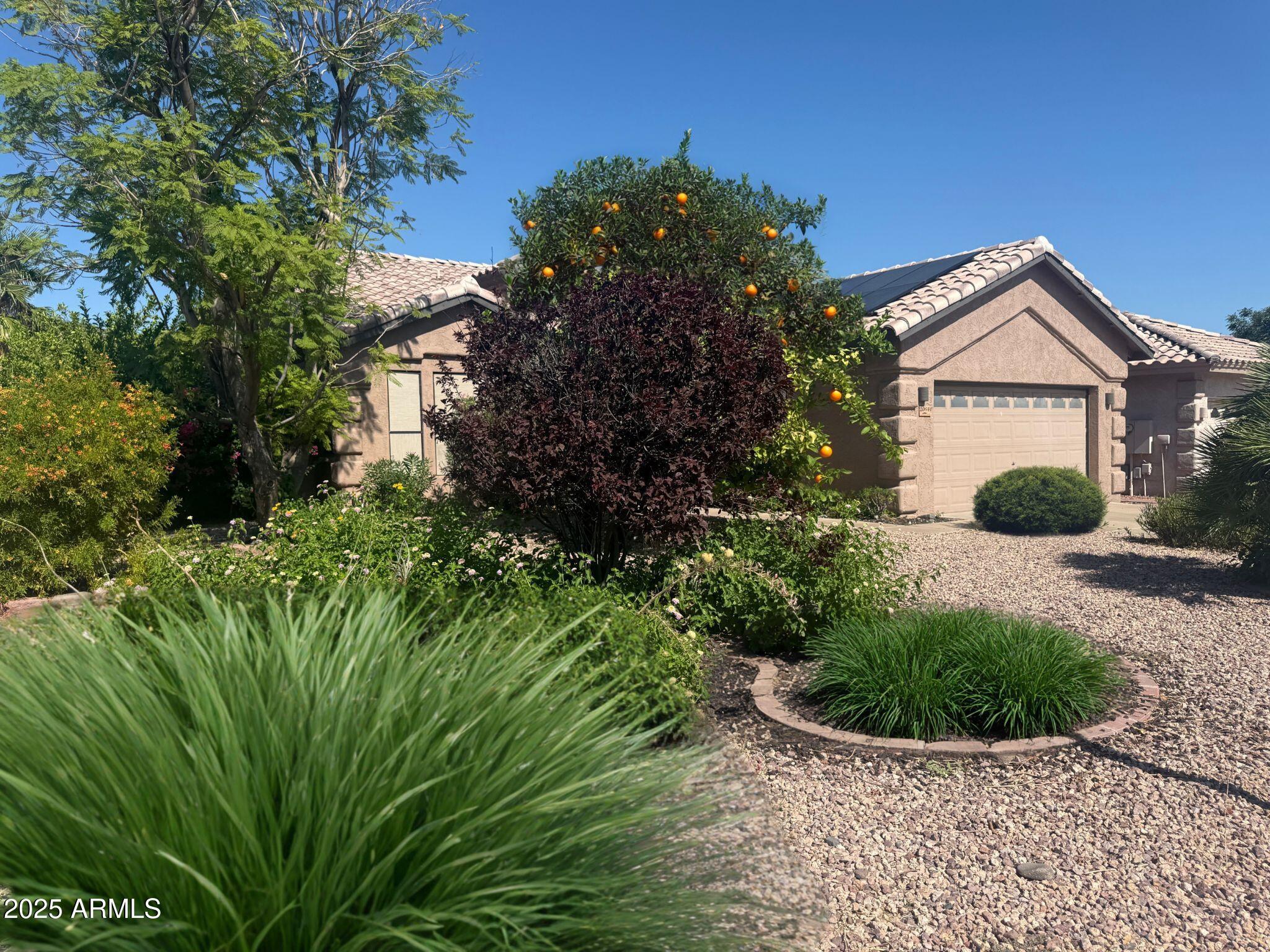 Photo of Listing #6893424