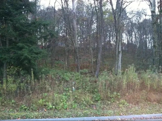 101 Shelby Lane, Shippenville