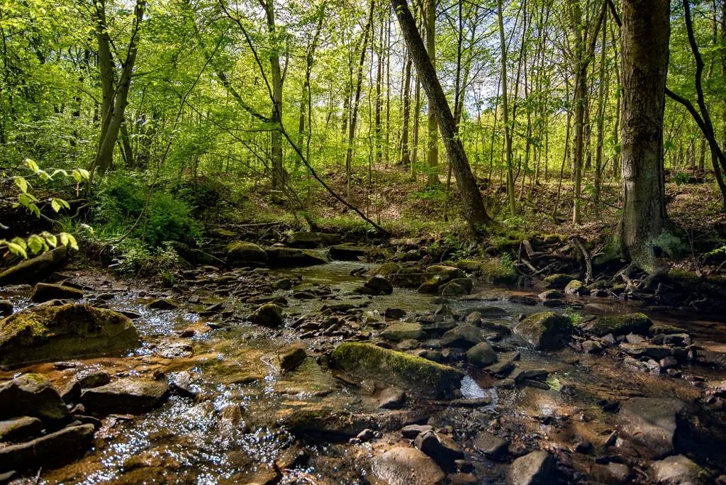 01 Stacey Road , Parker