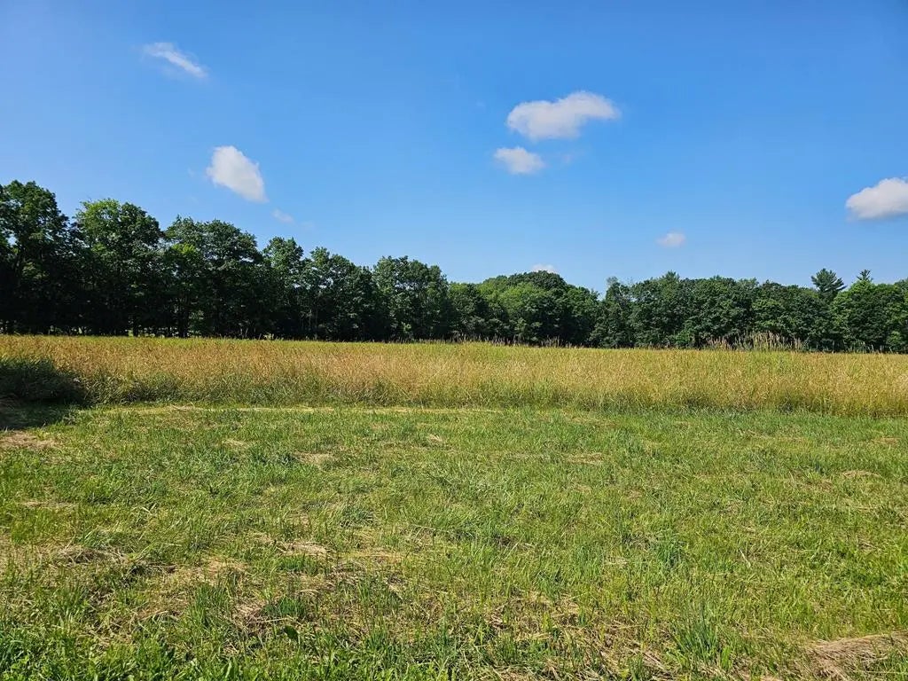 Wagner Road , Tionesta