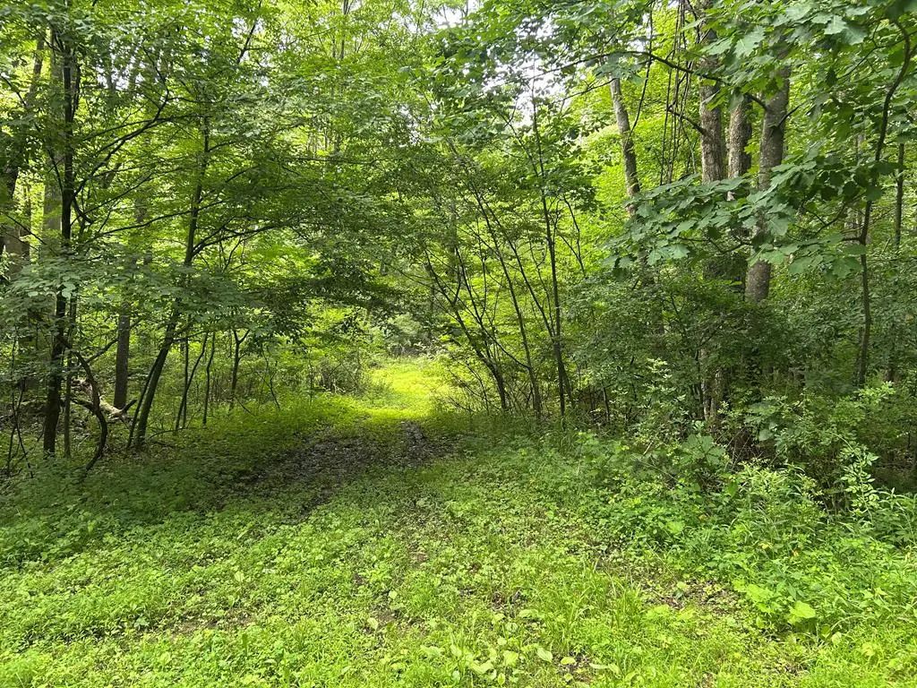 .. Holly Hill Road, Rimersburg