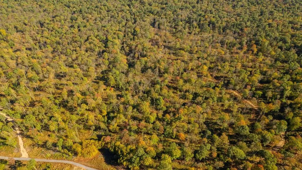 7a Gobbler Ridge Road, Sigel