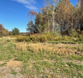 2021 Panic-knox Dale Road, Reynoldsville