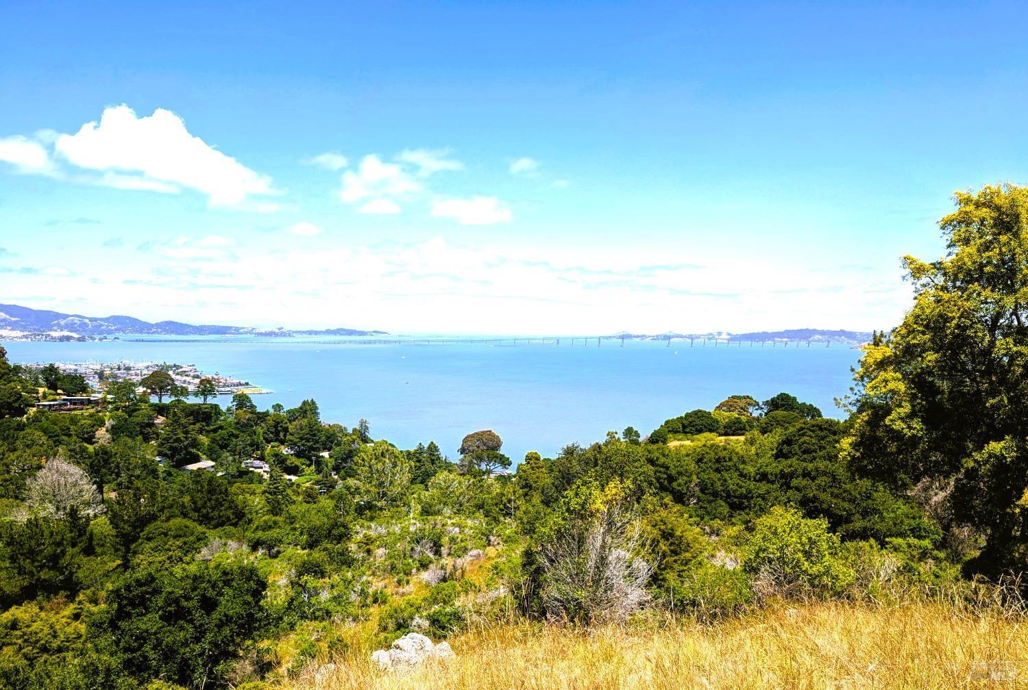 Pearl Realty - Featured Listing
