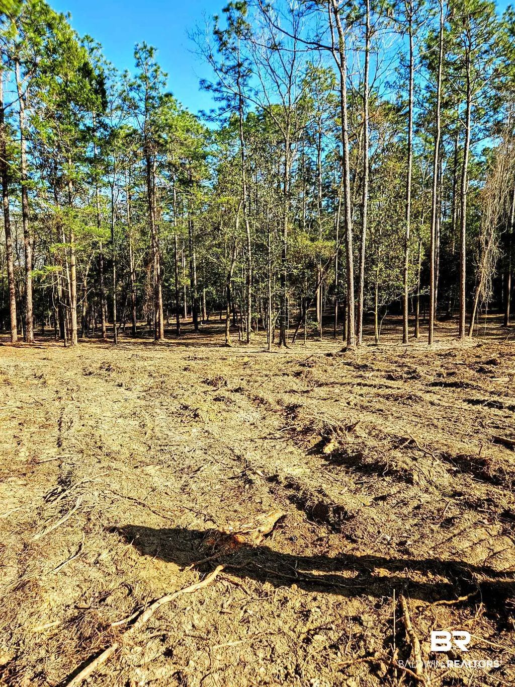 11040 County Road 138, Bay Minette