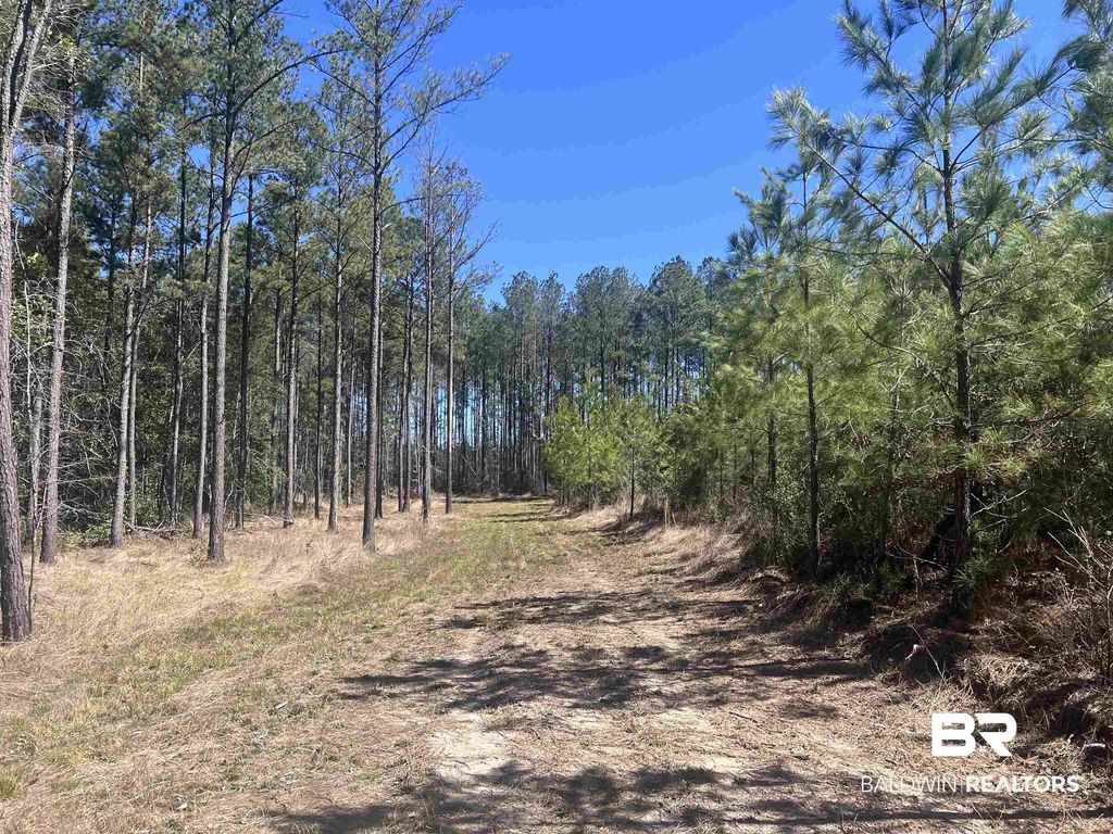 3 Robinsonville Road, Atmore