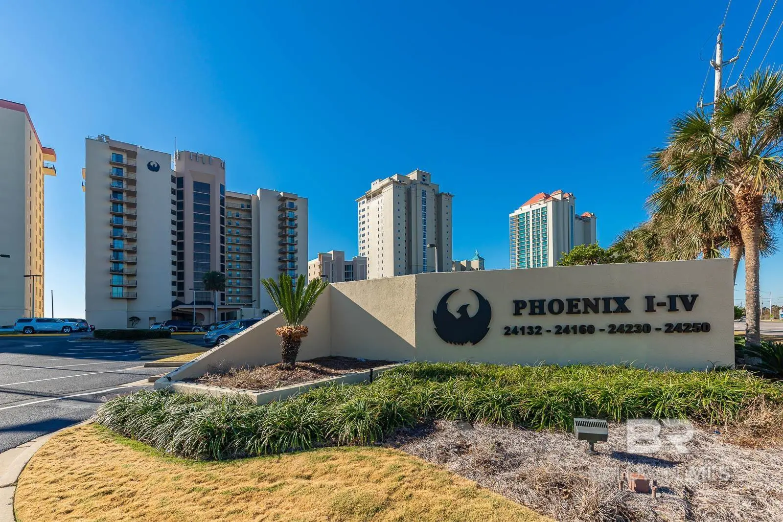 Photo of Listing #376647