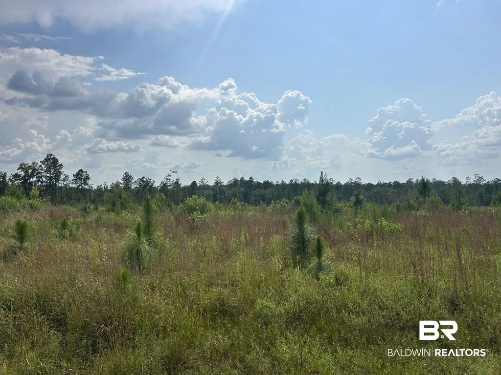 Bradley Road, Brewton