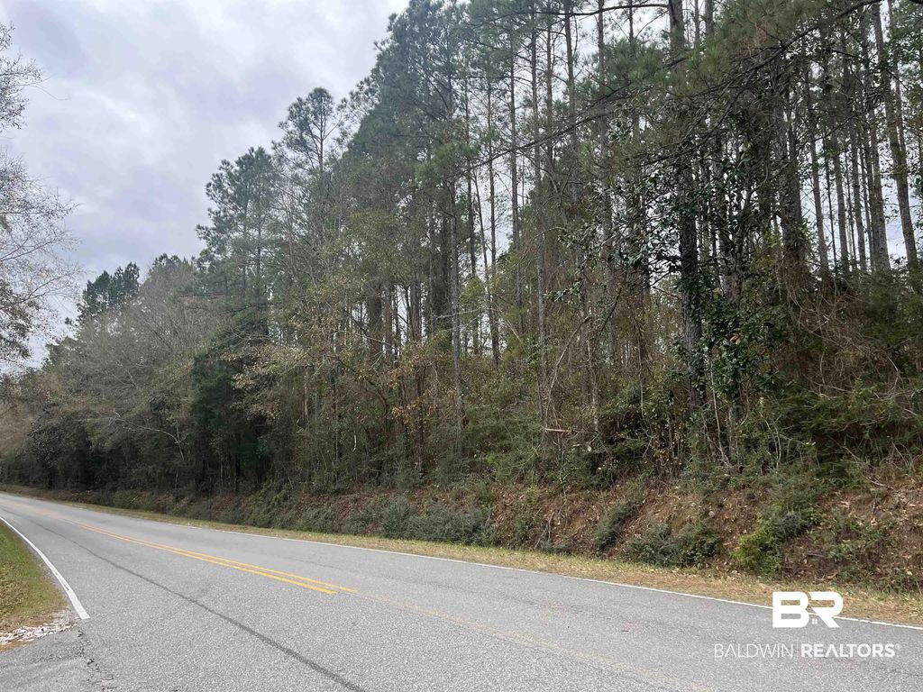 3000 Block N Pine Barren Road, McDavid