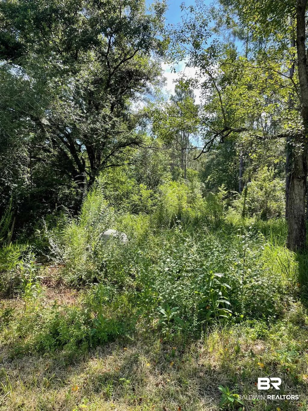 20150 County Road 87, Robertsdale