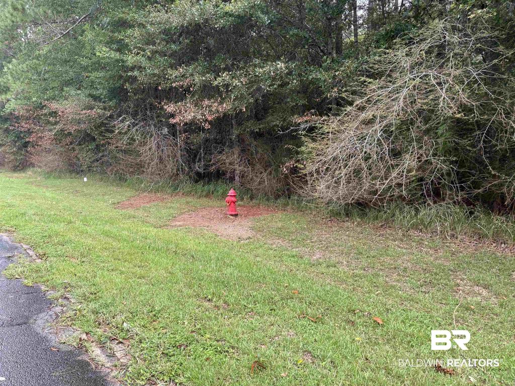Lot 8 County Road 48, Robertsdale
