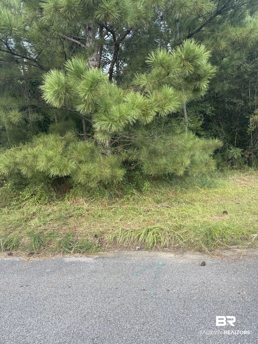 Reeves Court, Mobile