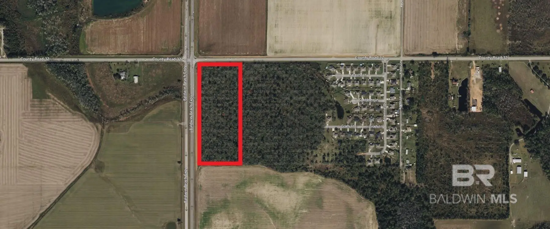 Photo of Listing #386932