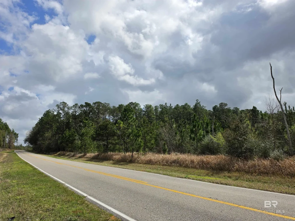 Henry Davis Road, Chunchula