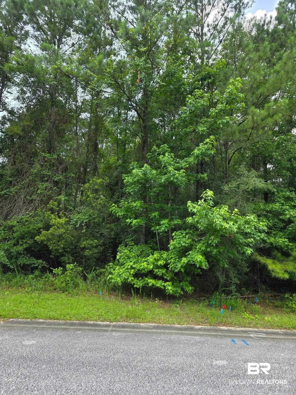 Shenandoah Drive, Spanish Fort