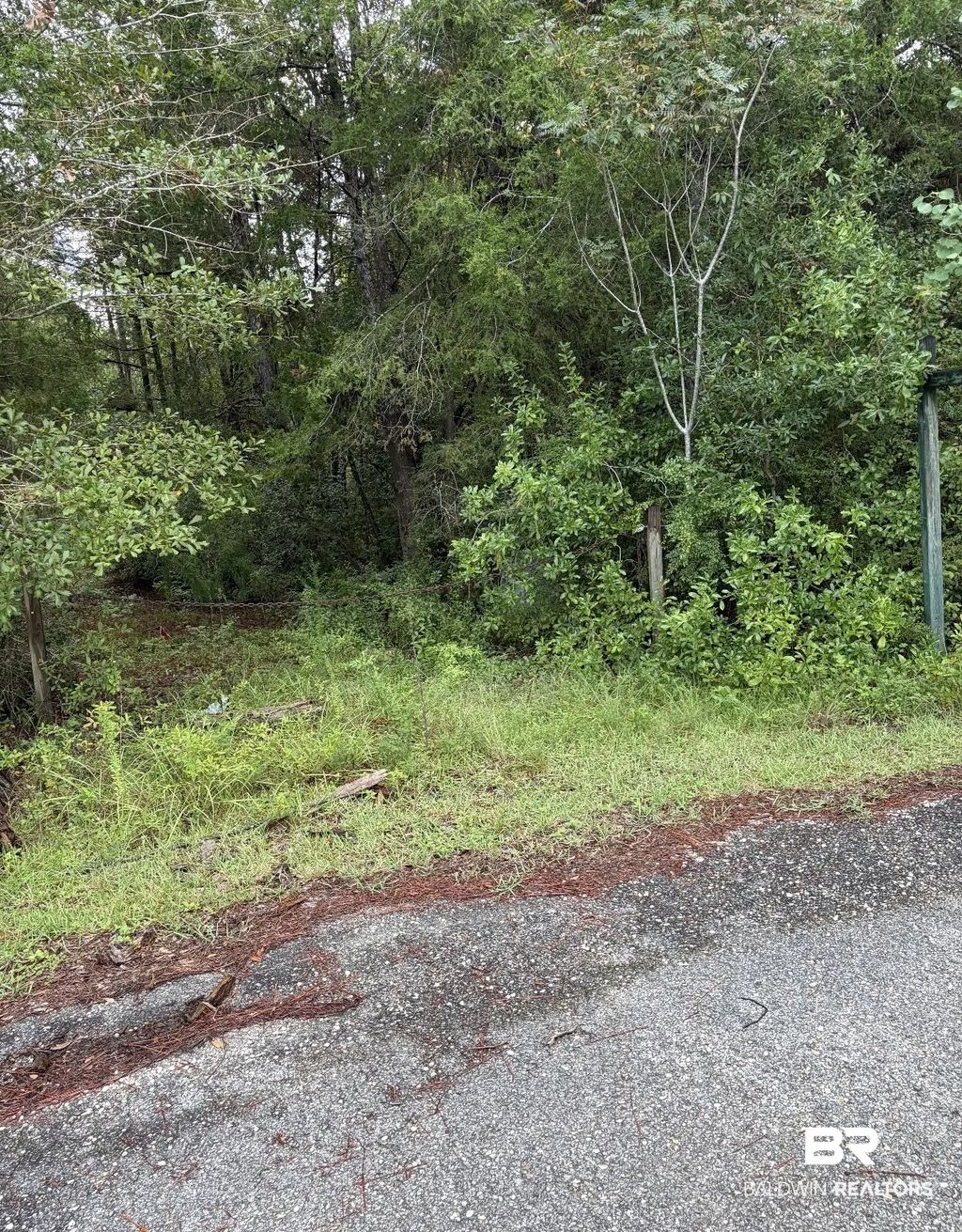 Juniper Road, Seminole
