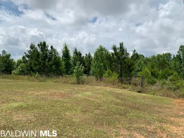 19600 Block Highway 43, Grove Hill