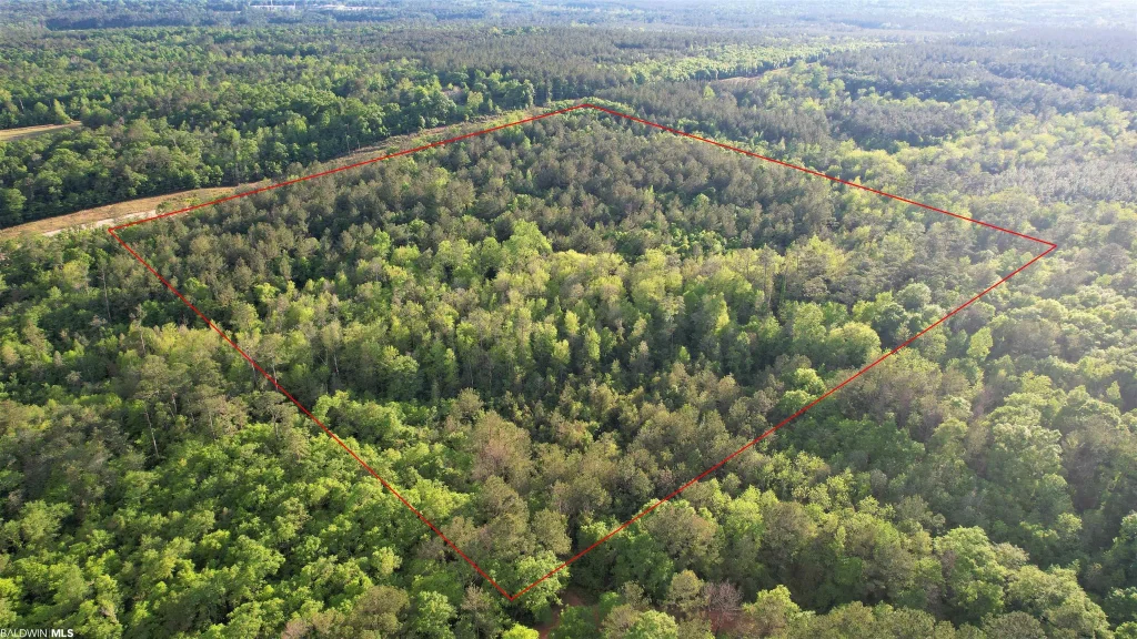 Pleasant Hill Road, Century