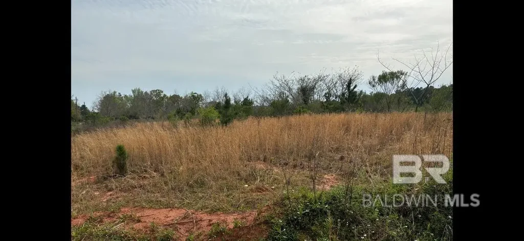 3740 Latigo Road, Mobile