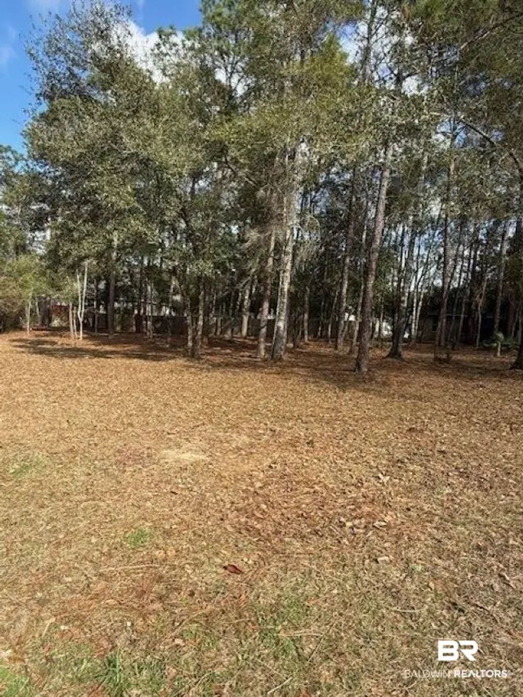 Lot 302 Bunker Loop, Fairhope