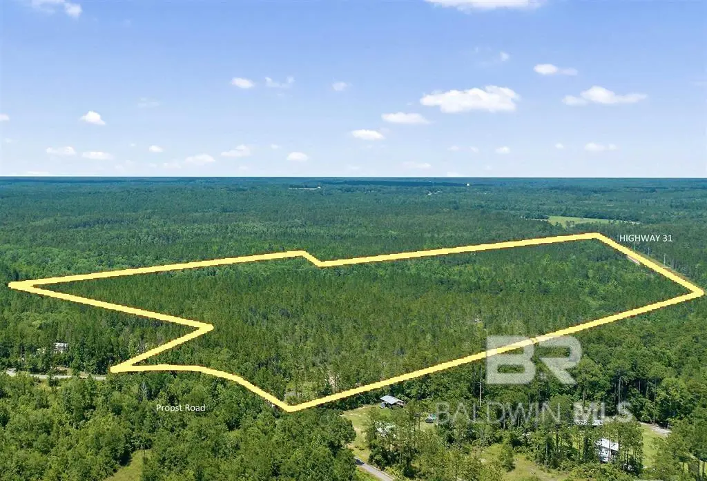 Photo of Listing #391513