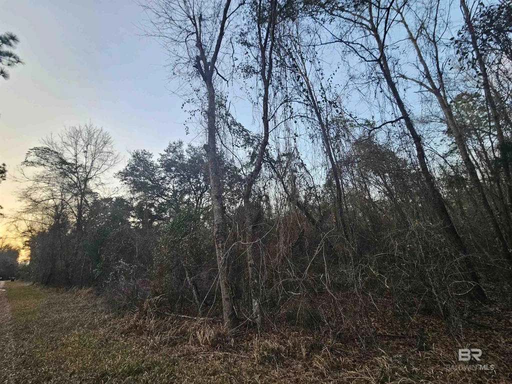 Lee Road, Robertsdale