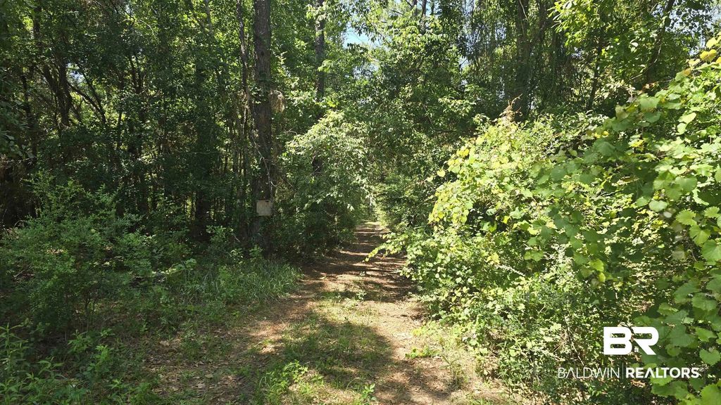Toler Road, Silverhill