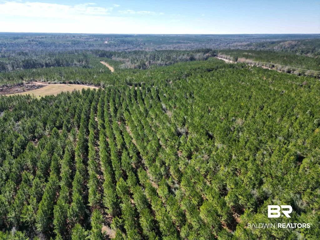 01 Robinsonville Road, Atmore