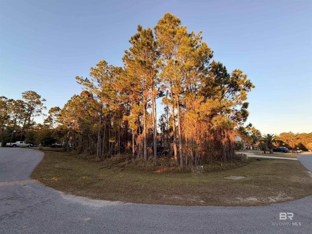 26227 Terry Cove Drive, Orange Beach