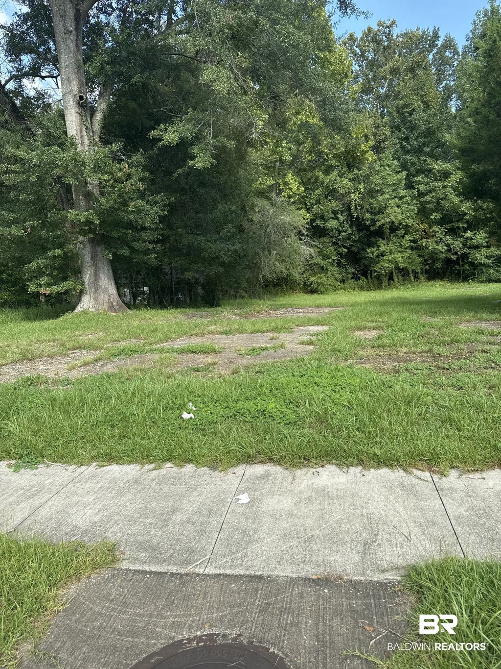 7230 Old Shell Road, Mobile
