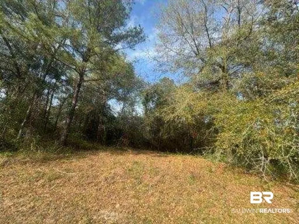Delta Woods Drive, Bay Minette