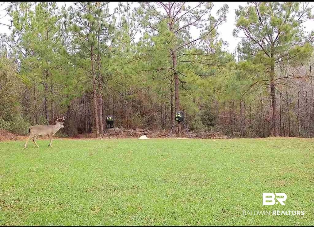 58979 Jack Springs Road, Perdido