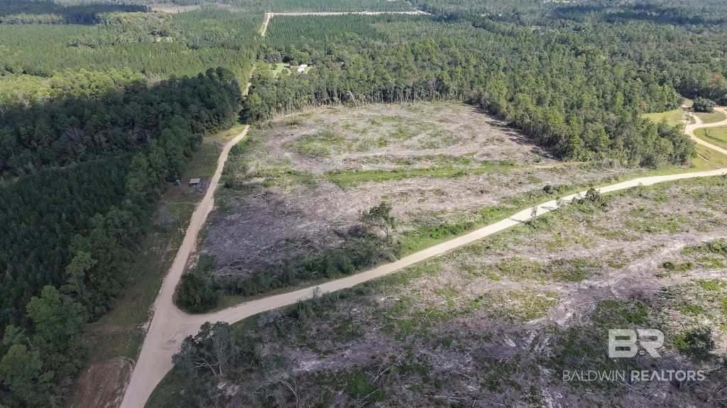 I-65 Service Road, Satsuma