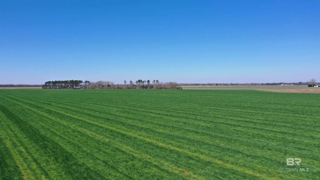 Lot 14 Davis Pond Road, Atmore