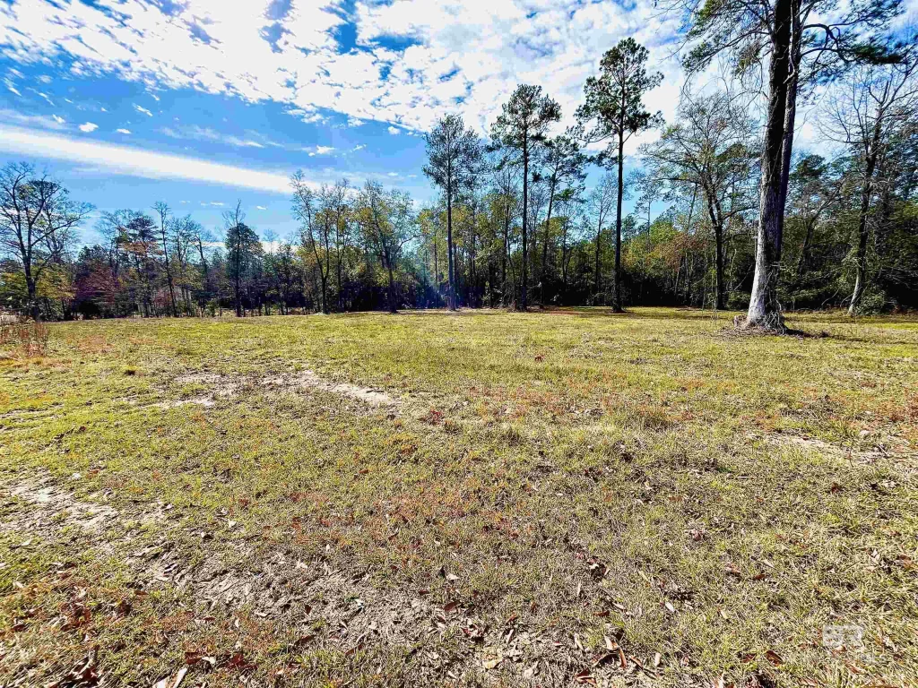 Tesone Boulevard, Brewton