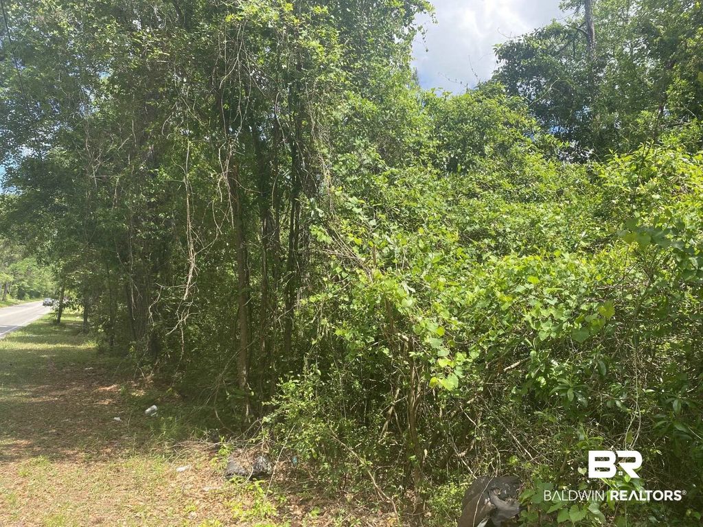 Bear Fork Road, Mobile