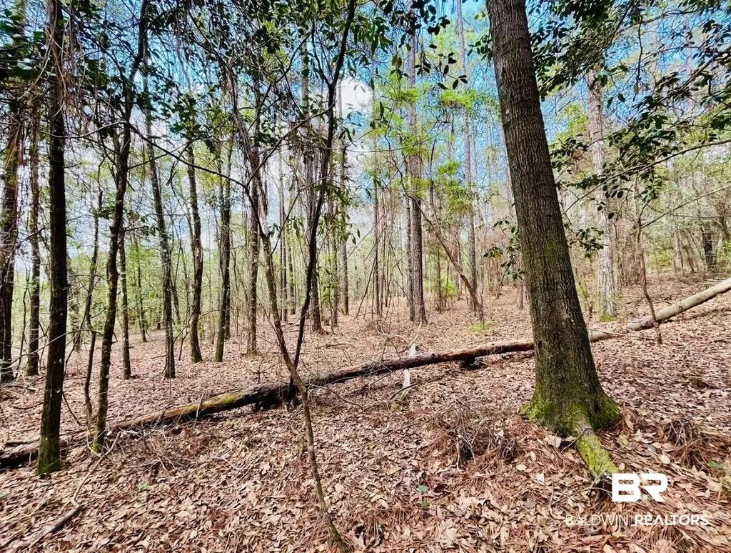 002 Phillipsville Road, Bay Minette