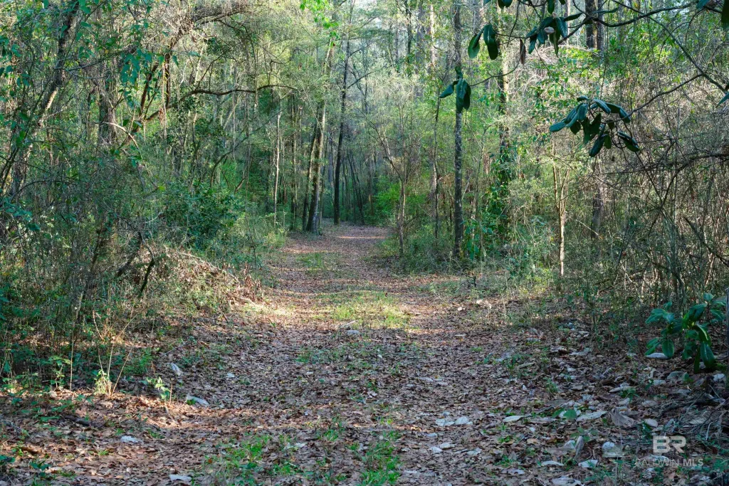 Dogwood Fork Road, Bay Minette