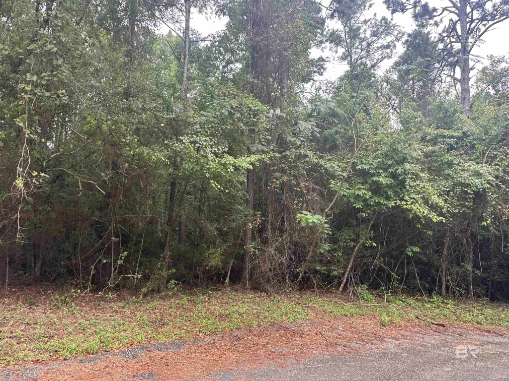 9 Pine Court, Saraland