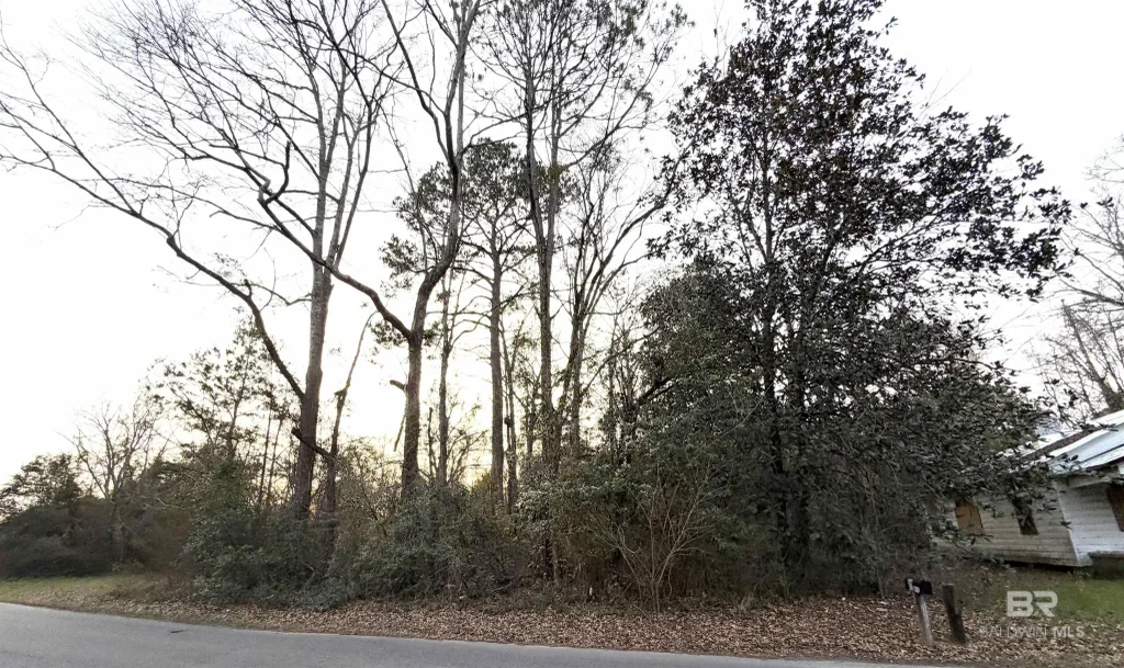 Lt 11 Blk 3 Martin Luther King Drive, Brewton