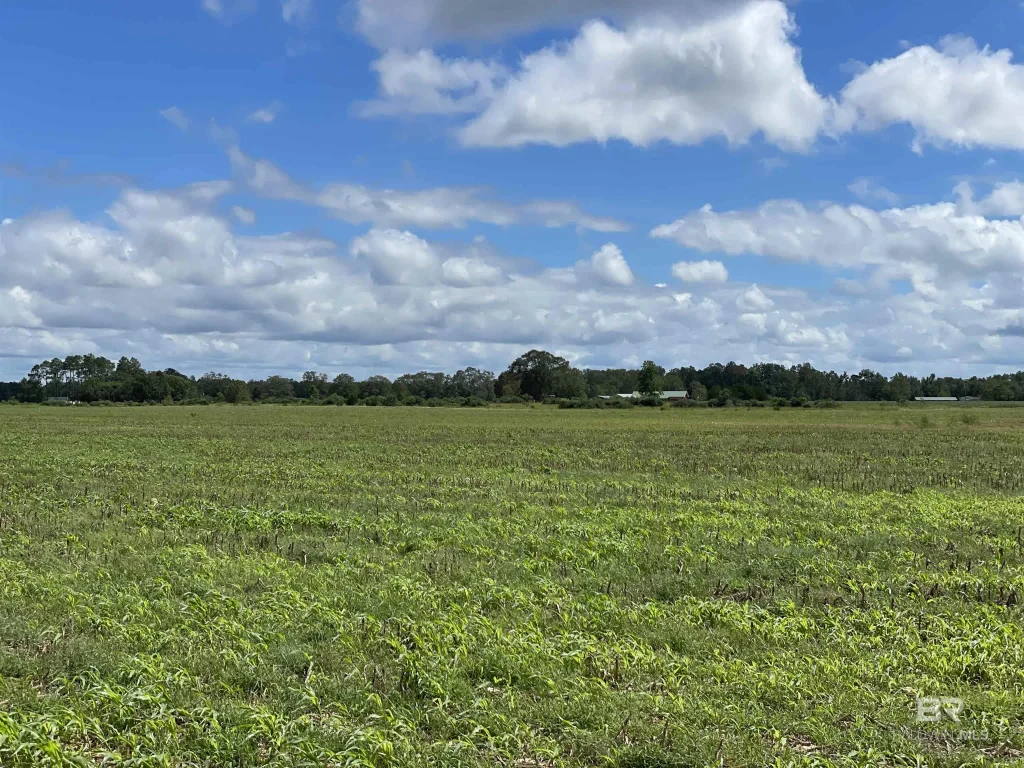 5700 Block Pine Forest Road, Walnut Hill