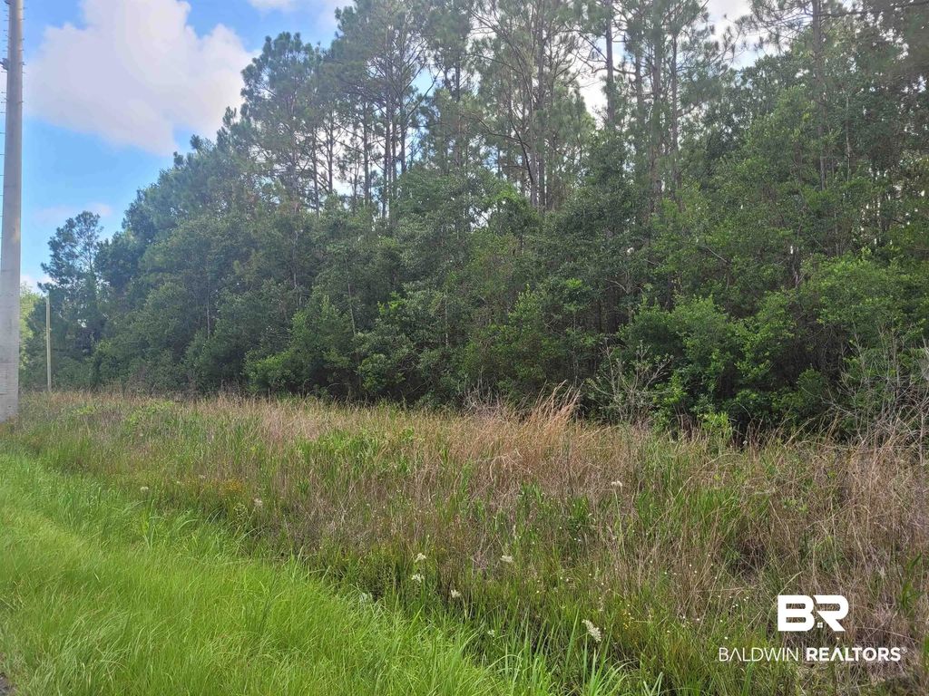 Bellingrath Road, Theodore