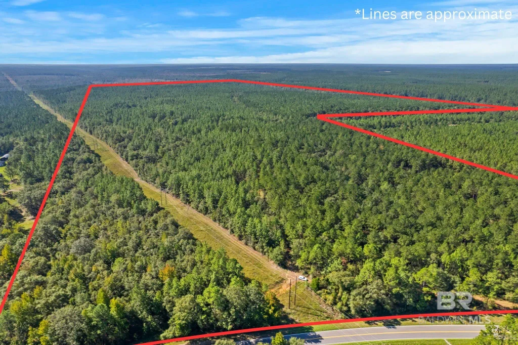 Nokomis Road, Walnut Hill