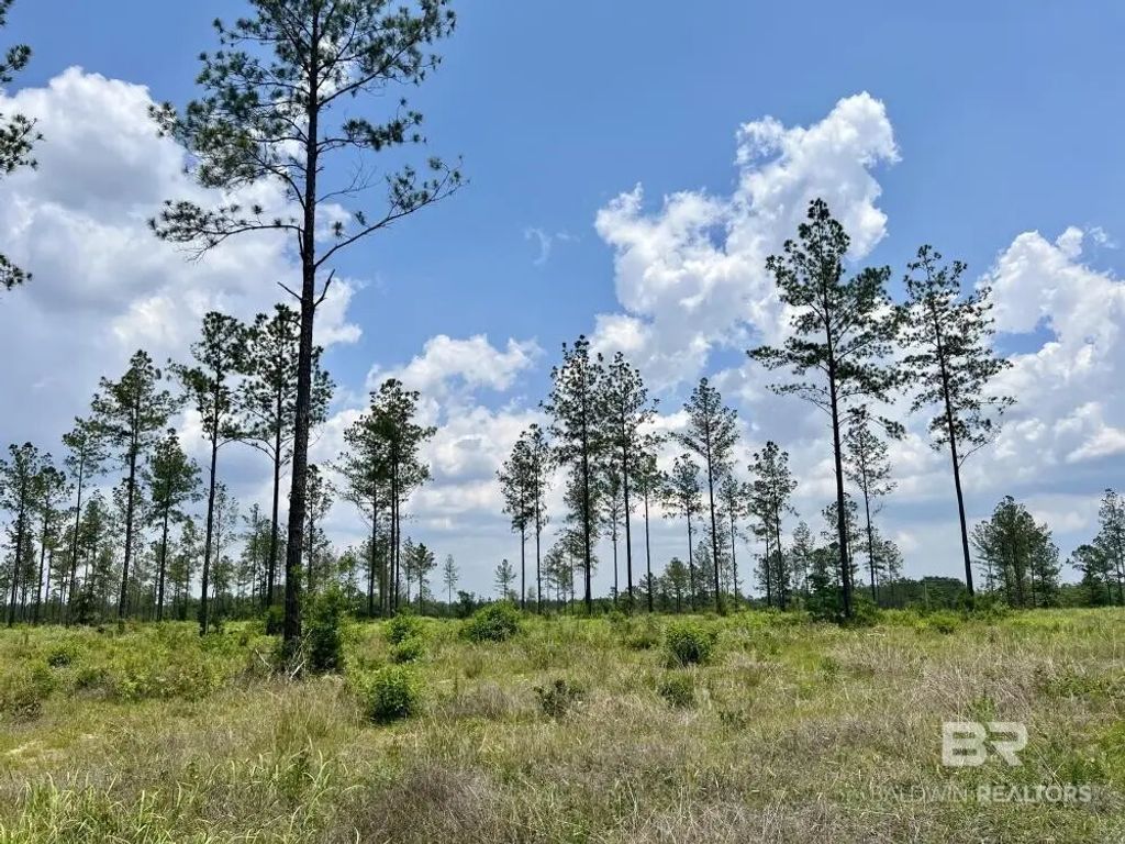 County Rd 64, Robertsdale