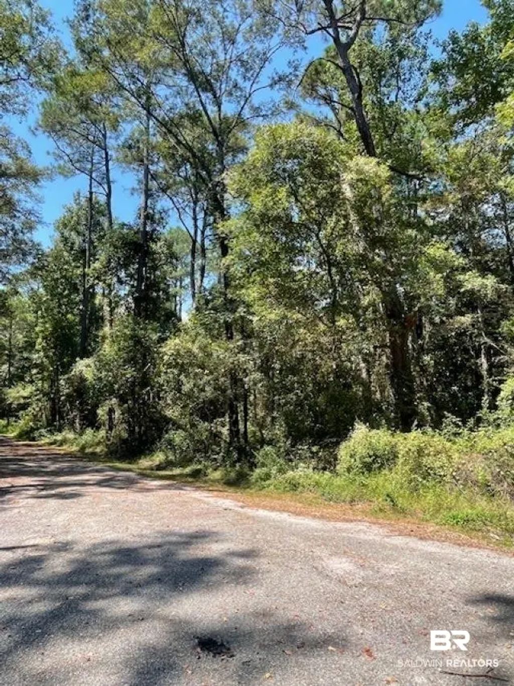 Caster Street, Mobile