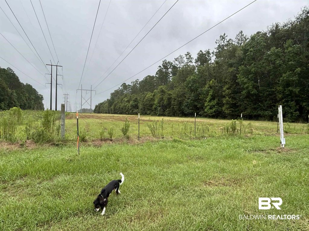 Lot 1 County Road 48, Robertsdale